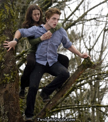 edward-bella-tree[1].jpg