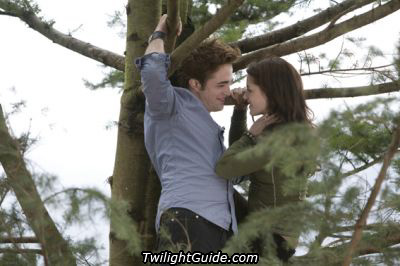 edward-bella-trees[1].jpg