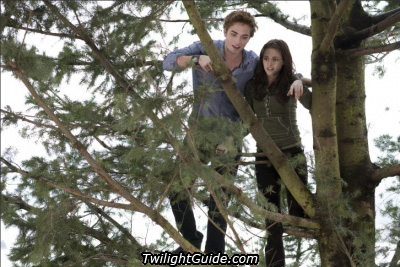 edward-bella-treetop[1].jpg