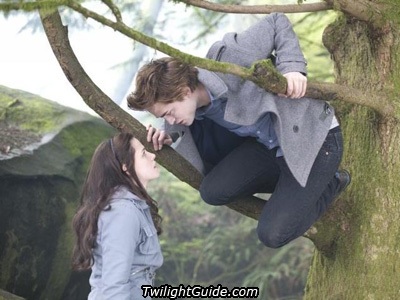 edward-tree-bella[1].jpg